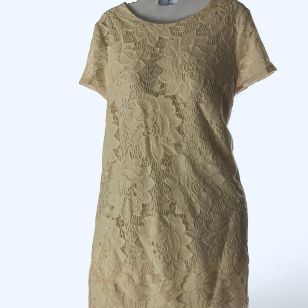 Cream lace dress with short sleeves #lacedress CeCe 8